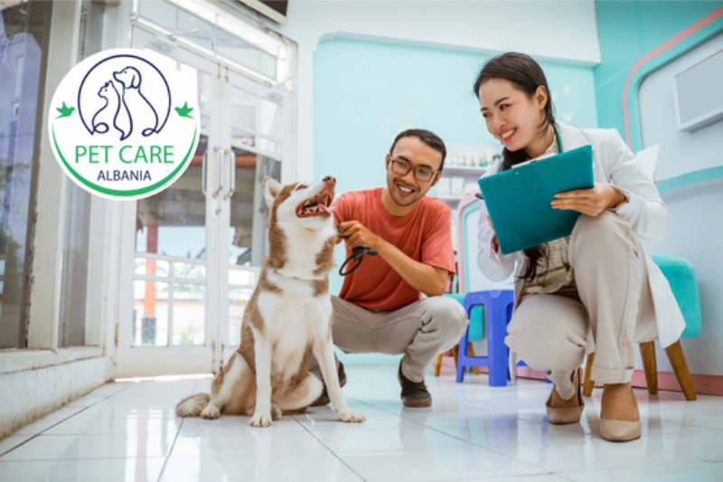 eutanazi qeni Tirane, kremacion kafshesh Myslym Shyri, procedure humane per qen, kujdes pas jetes se qenit Astir, veteriner per eutanazi Tirane, eutanazi humane per qenushin tuaj, sherbim kremacioni qeni Tirane, klinike me eutanazi etike per qen